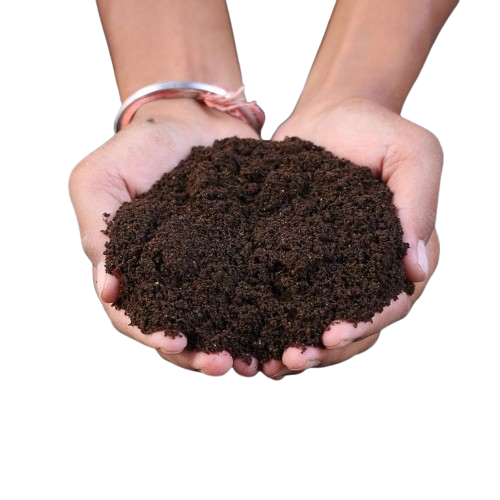Vermicompost
